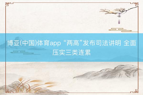 博亚(中国)体育app “两高”发布司法讲明 全面压实三类连累