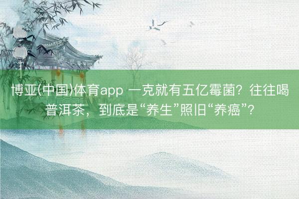 博亚(中国)体育app 一克就有五亿霉菌？往往喝普洱茶，到底是“养生”照旧“养癌”？