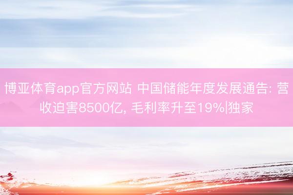 博亚体育app官方网站 中国储能年度发展通告: 营收迫害8500亿， 毛利率升至19%|独家