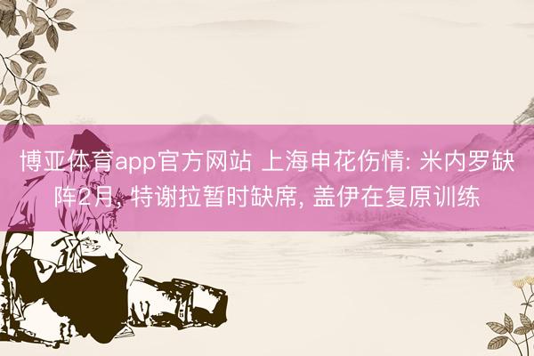 博亚体育app官方网站 上海申花伤情: 米内罗缺阵2月， 特谢拉暂时缺席， 盖伊在复原训练