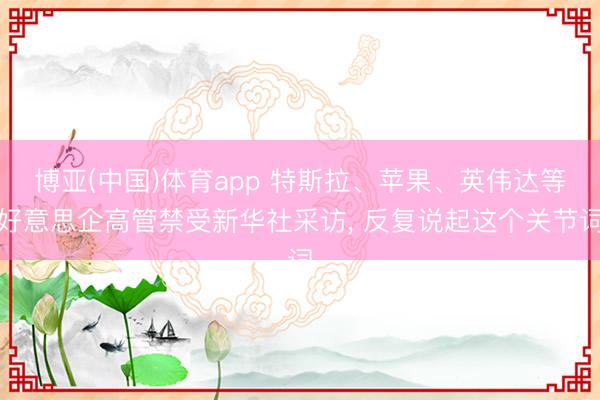 博亚(中国)体育app 特斯拉、苹果、英伟达等好意思企高管禁受新华社采访, 反复说起这个关节词