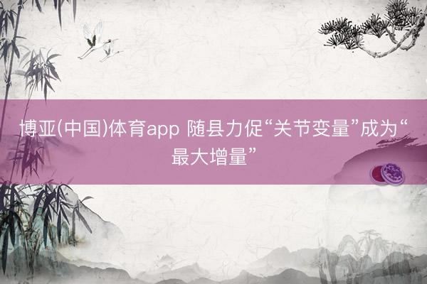 博亚(中国)体育app 随县力促“关节变量”成为“最大增量”