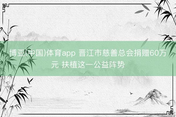 博亚(中国)体育app 晋江市慈善总会捐赠60万元 扶植这一公益阵势