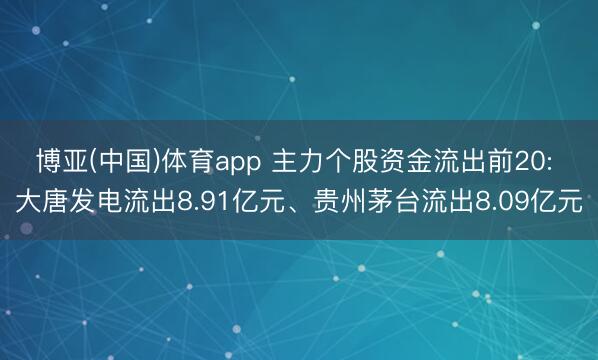 博亚(中国)体育app 主力个股资金流出前20: 大唐发电流出8.91亿元、贵州茅台流出8.09亿元