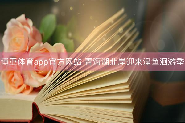 博亚体育app官方网站 青海湖北岸迎来湟鱼洄游季